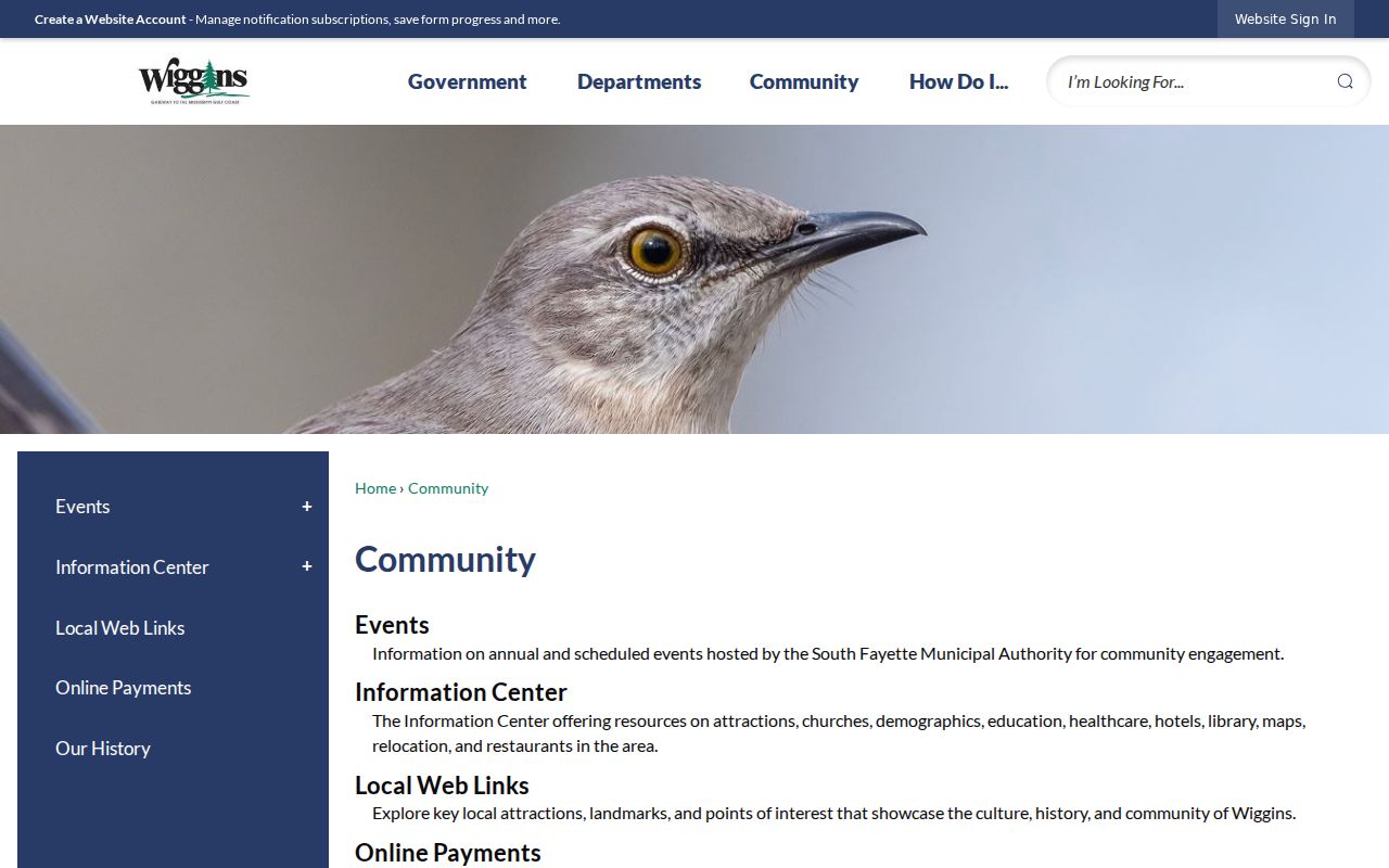 Wiggins court records city community history and municipal context